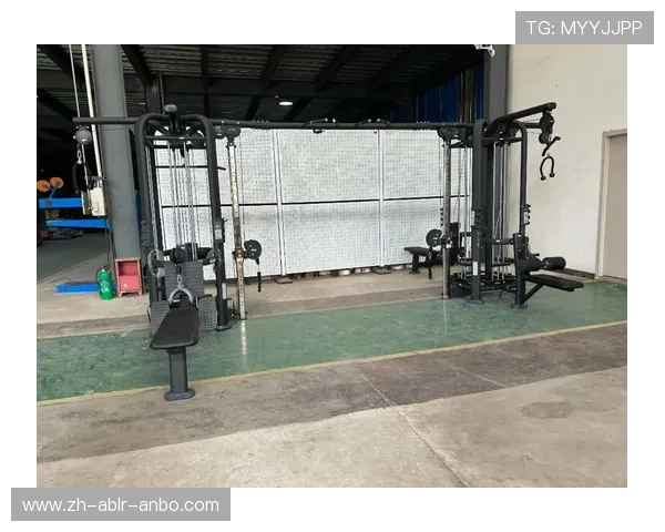 局部性健身器材的种类及针对性训练效果