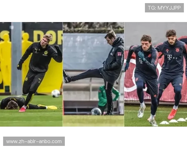 风暴中的绿茵传奇 德甲球队疫情下的生存与复苏之路