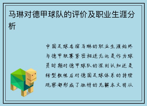 马琳对德甲球队的评价及职业生涯分析