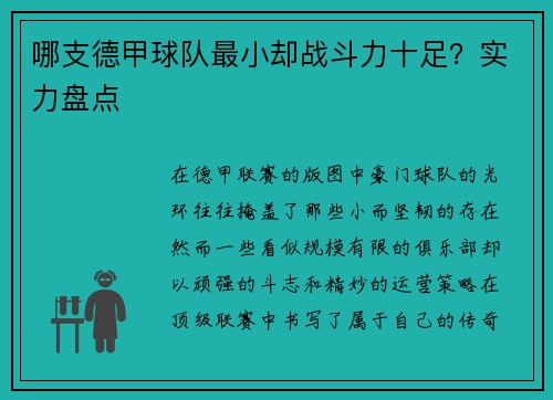 哪支德甲球队最小却战斗力十足？实力盘点